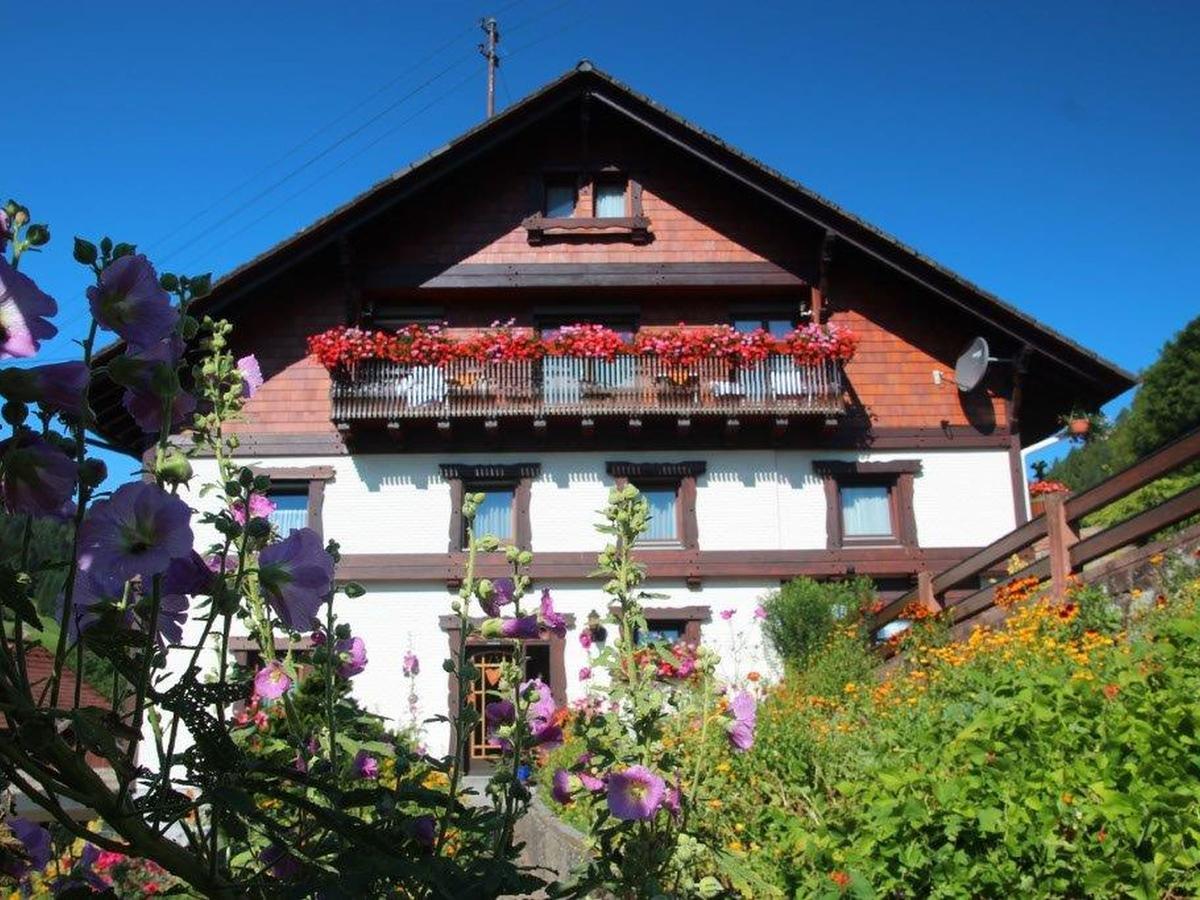 Gaestehaus Heimenberg 巴特里坡德索西坡 外观 照片