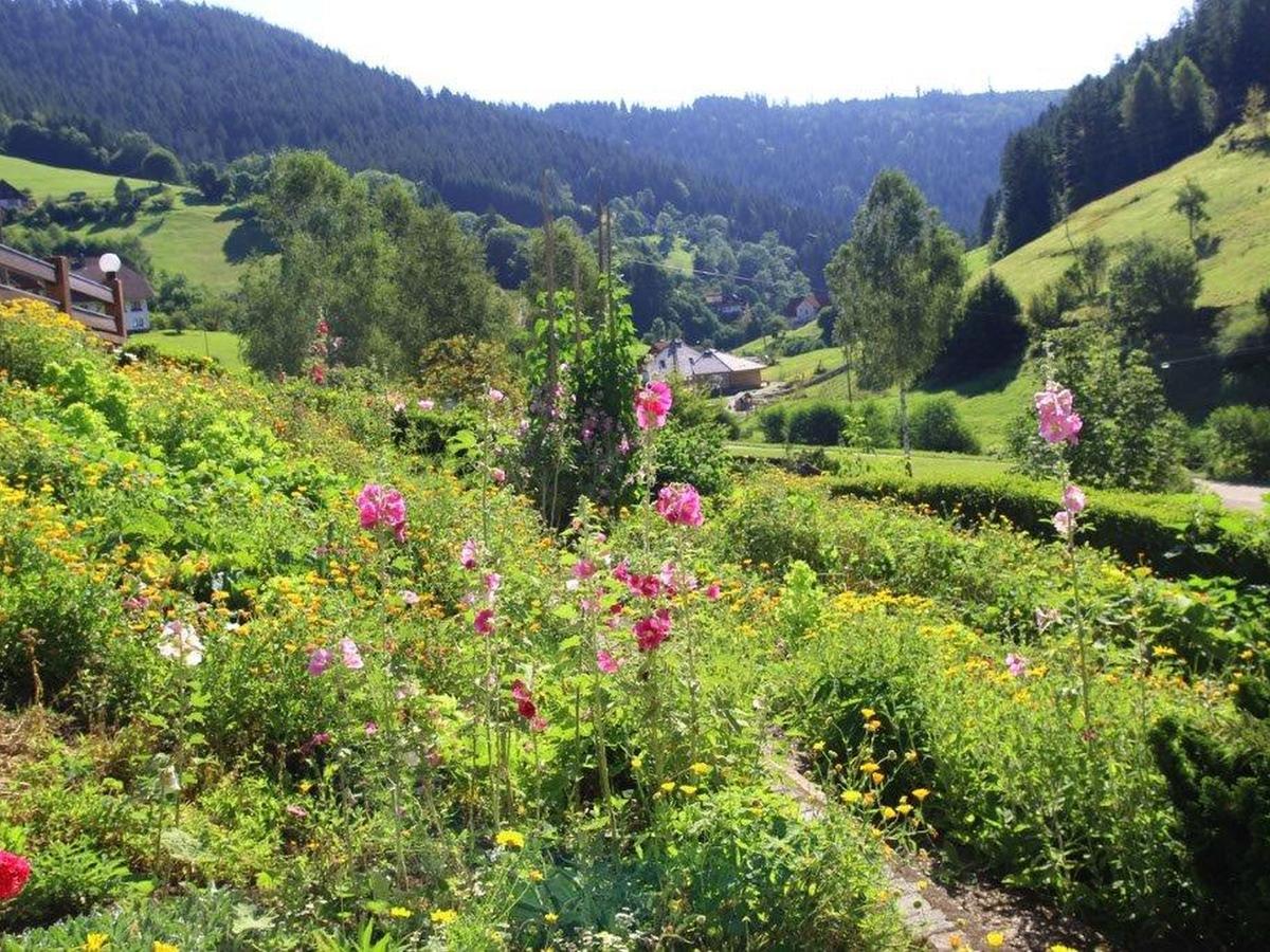 Gaestehaus Heimenberg 巴特里坡德索西坡 外观 照片